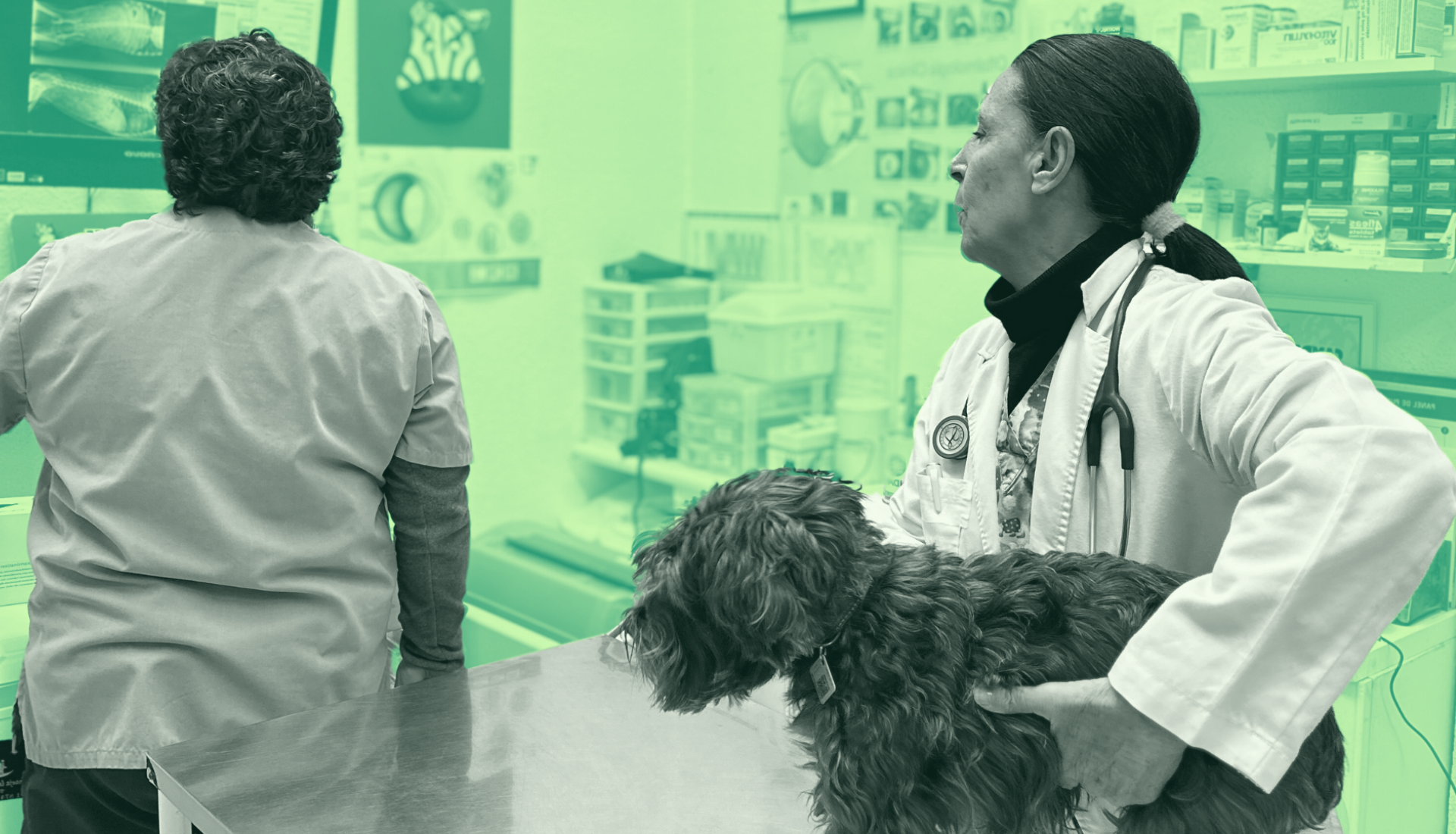 Clínica Veterinaria <br/> Rosa Luxemburgo